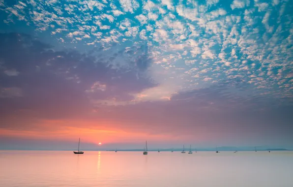 Картинка море, небо, облака, восход, рассвет, яхты, Калифорния, California