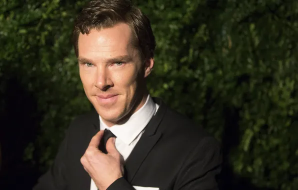 Взгляд, мужчина, рубашка, Бенедикт Камбербэтч, Benedict Cumberbatch