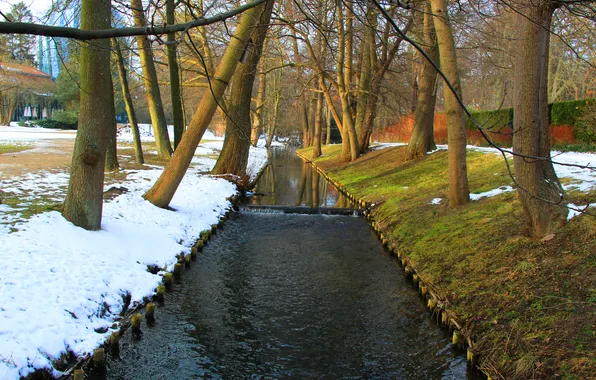 River, trees, water, park, water stream