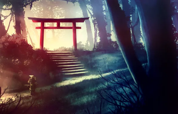 Япония, Лес, Japan, Jungle, Самурай, Арка, Samurai, Japanese