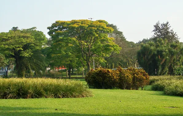 Brazil, Sao Paulo, Panorama, Ibirapuera Park