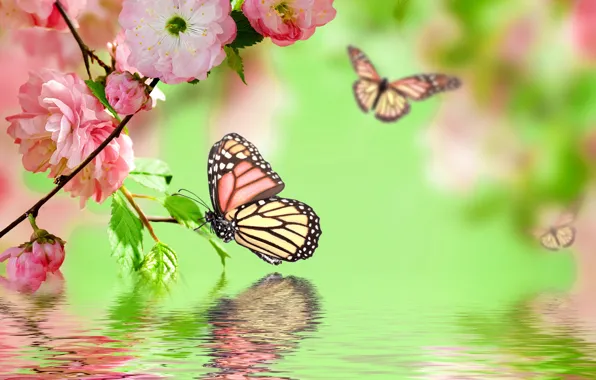 Картинка вода, бабочки, отражение, розовый, весна, цветение, pink, water