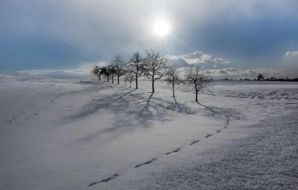 Картинка зима, поле, снег, деревья, утро
