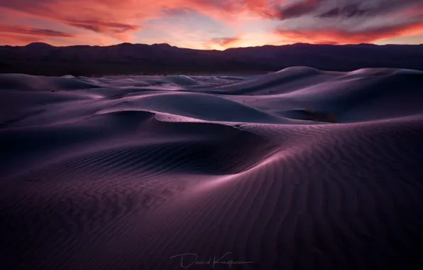 Песок, пустыня, вечер, утро, дюны