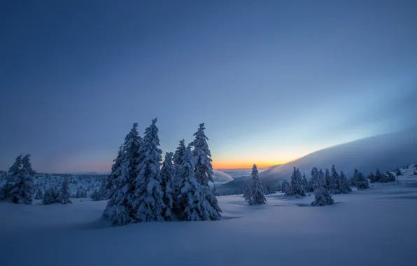 Зима, снег, ели, Польша, сугробы, Poland, Karkonosze National Park, Karkonosze Mountains