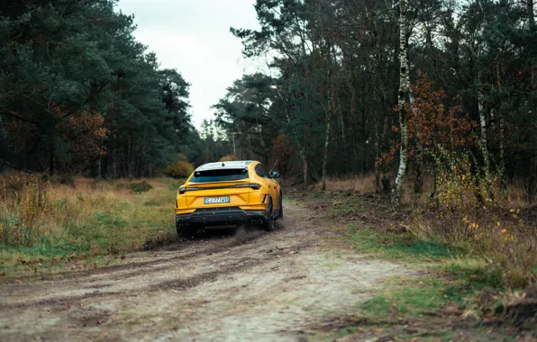 Lamborghini, off-road, Urus, Lamborghini Urus Performante