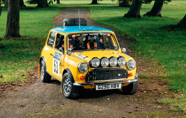 Авто, парк, сафари, жёлтый, MINI, Mini Cooper Safari