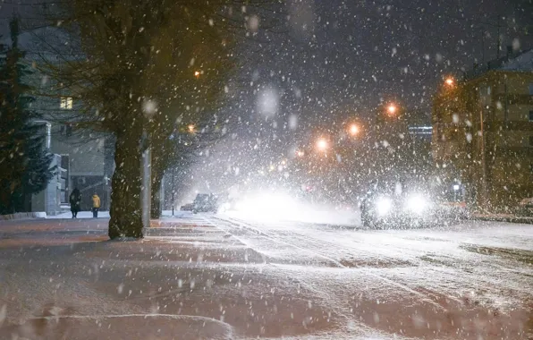 Машины, Cars, Снегопад, Snowfall, Snow Trees, Снежные Деревья, Зимний Город, Winter City