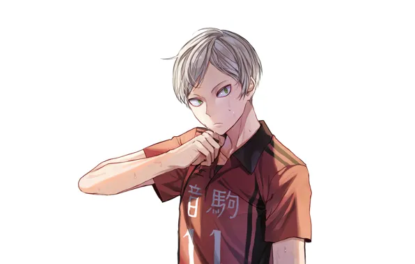 Взгляд, белый фон, парень, Волейбол, Haikyuu