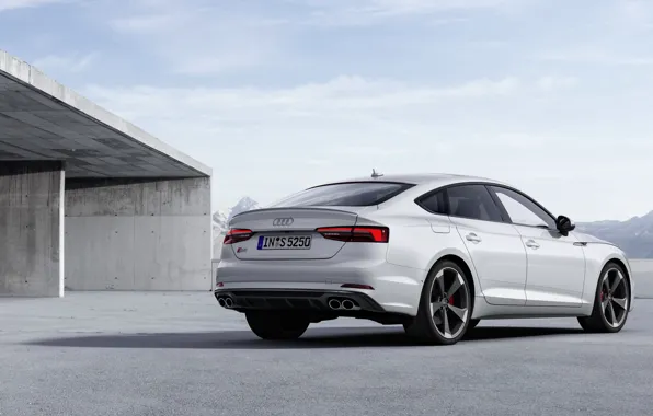 Audi, Audi A5, пятидверный, 2019, S5 Sportback