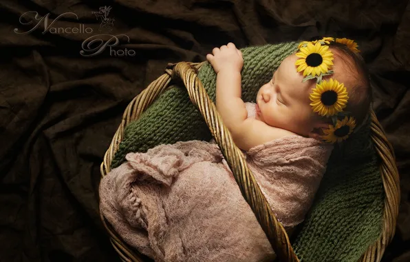Картинка цветы, настроение, корзинка, младенец
