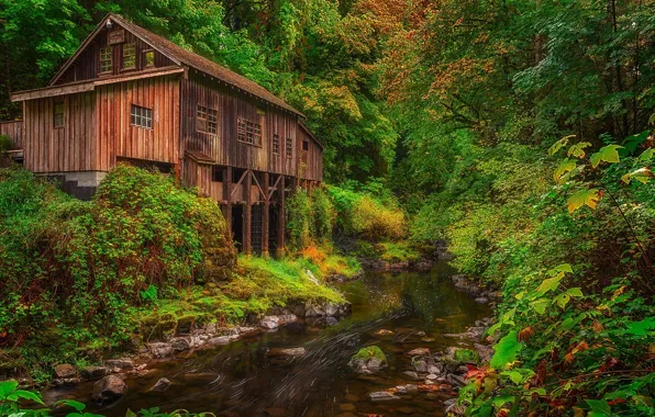 Картинка лес, река, мельница, Washington, штат Вашингтон, Woodland, Вудленд, Cedar Creek Grist Mill