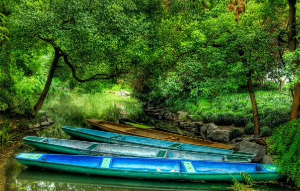 Картинка лес, река, лодки