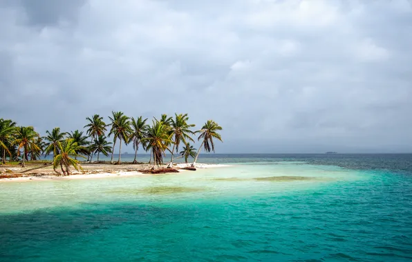 Картинка море, тропики, пальмы, берег, Panama