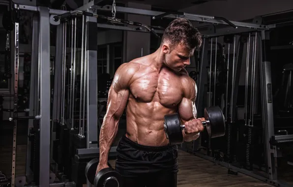 Muscle, мышцы, man, пресс, pose, гантели, gym, бодибилдер