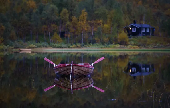 Картинка лес, озеро, лодка, вёсла