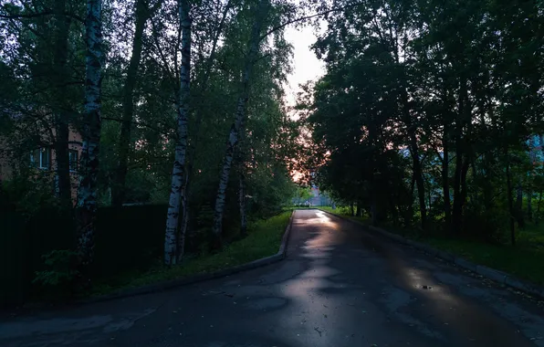 Лето, деревья, город, дом, здание, вечер, Россия, архитектура