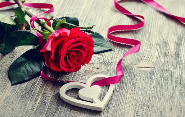 Картинка любовь, цветы, розы, лепестки, valentine's day