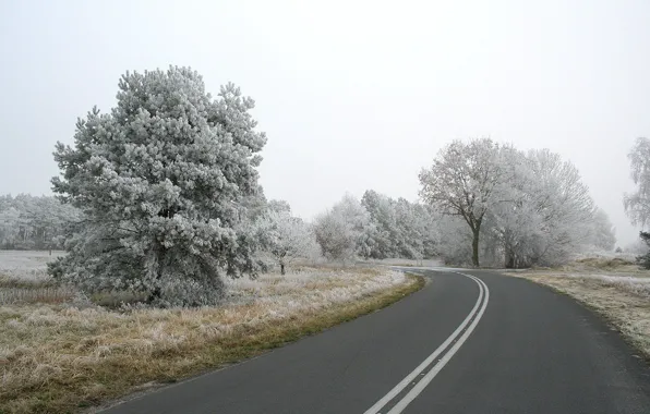 Картинка дорога, снег, деревья