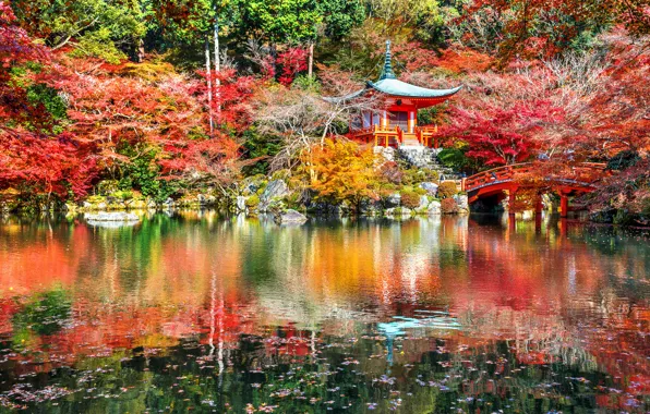 Осень, листья, деревья, парк, Japan, Kyoto, nature, bridge