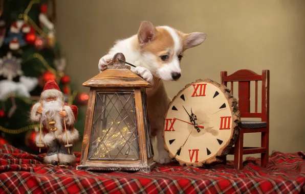 Часы, собака, фонарь, щенок, Новый год, Санта Клаус, Дед Мороз, пёсик