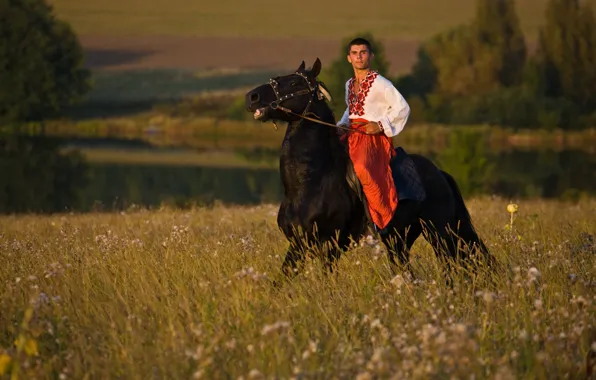Поле, конь, мужчина, Украина, Україна