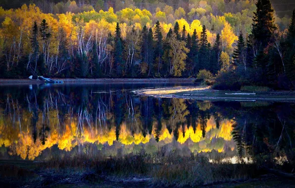 Картинка осень, лес, пейзаж, природа, озеро, отражение, берег, Канада