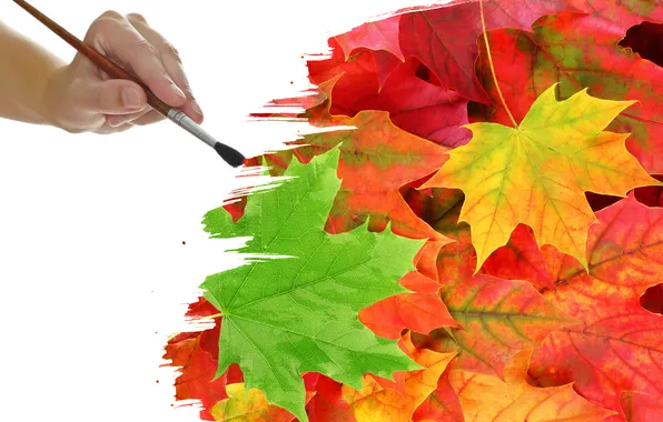 Картинка листья, креатив, краски, кисть, прожилки, рисование