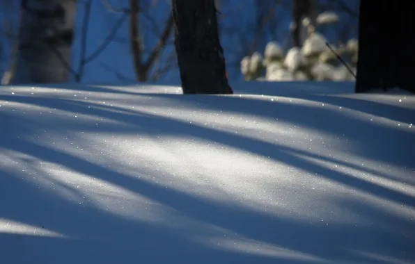 Зима, снег, природа