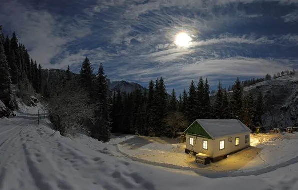 Зима, лес, свет, снег, ночь, луна, домик