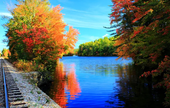 Деревья, озеро, рельсы, colors, Осень, trees, nature, autumn