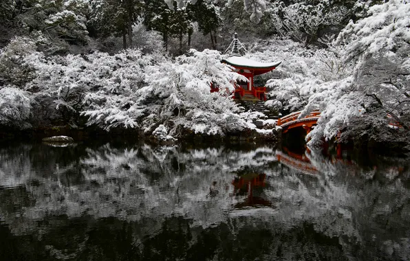 Japan, Kyoto, Patrick Vierthaler