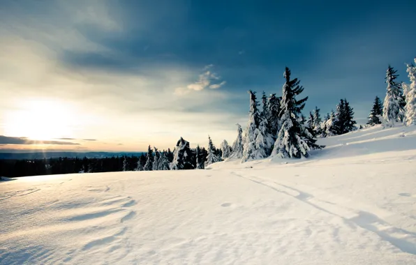 Зима, лес, небо, Снег