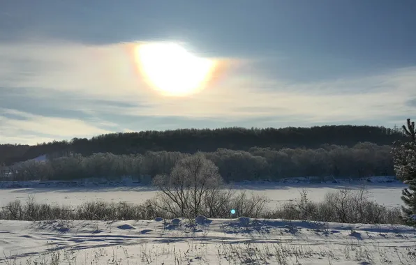 Зима, солнце, Природа, область, Калужская