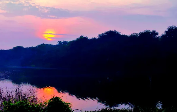 Clouds, Sky, Grass, Sun, Water, Sunrise, Dawn, Morning