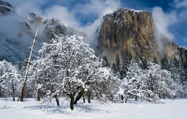 Картинка зима, снег, деревья, горы, Калифорния, Йосемити, California, Национальный парк Йосемити