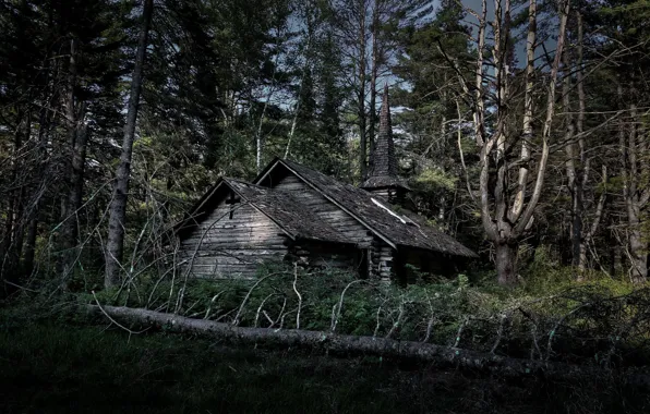 Картинка лес, природа, храм