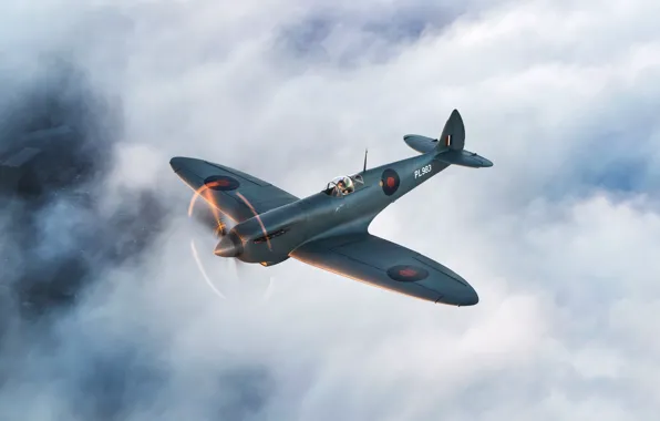 Картинка Истребитель, Spitfire, RAF, Вторая Мировая Война, Supermarine Seafire, Spitfire PR.Mk XI