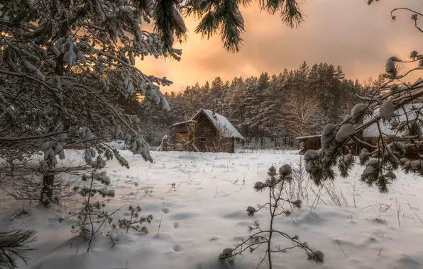 Картинка зима, лес, ветки, избушка, Руслан Авдевич