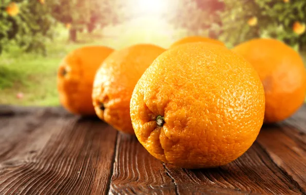 Картинка фон, апельсины, доска, цитрусы