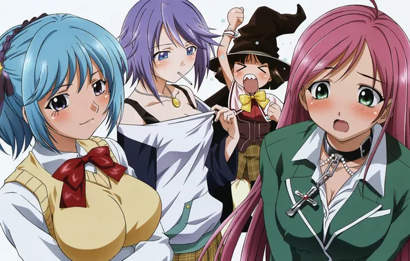Картинка девушки, шляпа, аниме, арт, бант, kurono kurumu, shirayuki mizore, akashiya moka