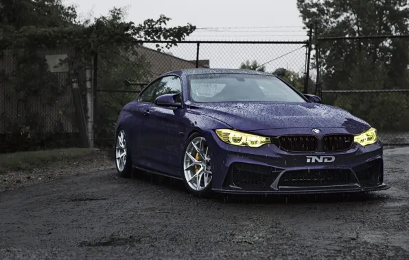 BMW, Front, Rain, IND, M4 Coupe