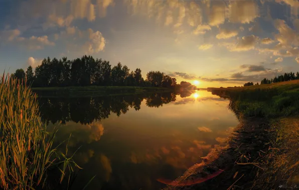 Лето, деревья, закат, природа, отражение, река, Россия, Богорянов Алексей