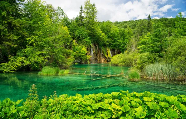 Зелень, лес, трава, облака, деревья, водопады, Хорватия, озёра