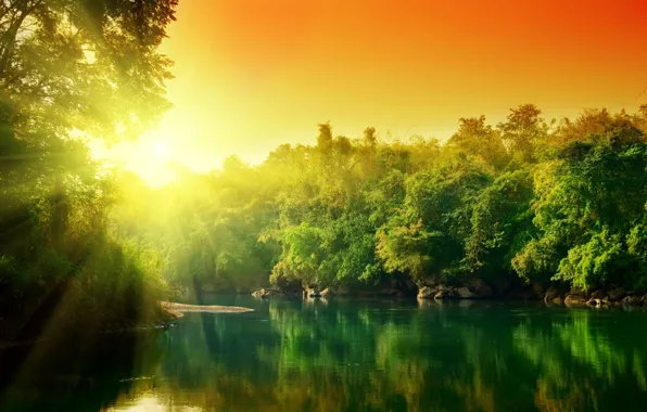 Картинка вода, солнце, деревья, отражение, красочно