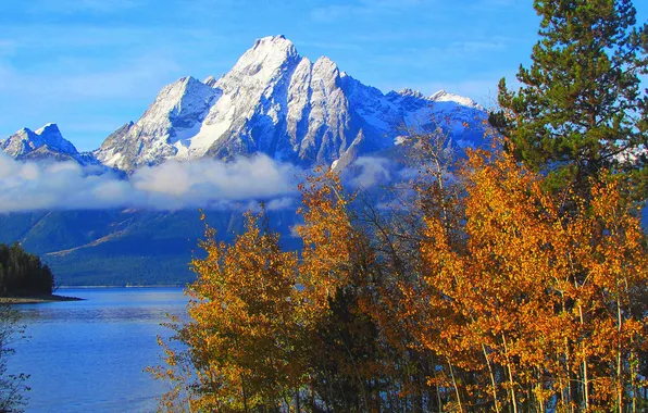 Осень, небо, деревья, горы, озеро, Вайоминг, США, grand teton national park