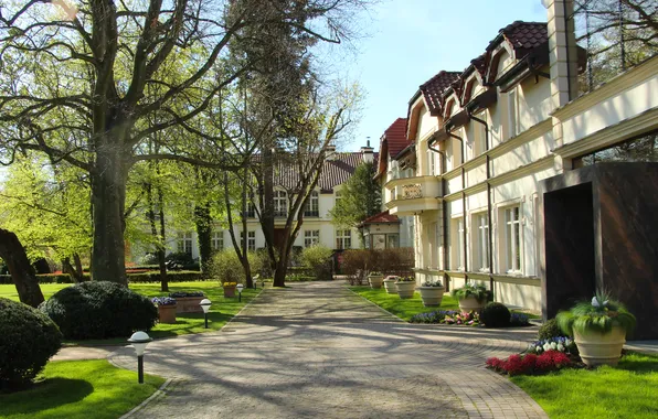Park, alley, building