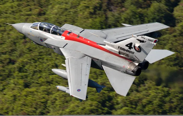 Картинка истребитель, полёт, бомбардировщик, Panavia Tornado