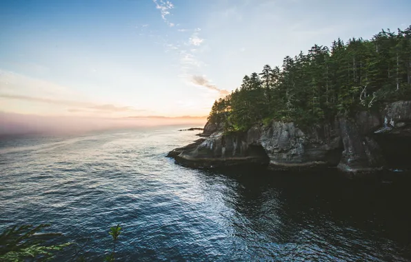 Картинка море, лес, деревья, природа, рассвет, Скалы