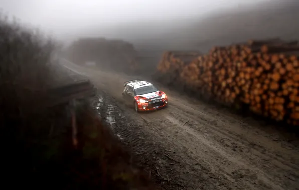 Лес, Грязь, Citroen, Фары, Tilt-Shift, DS3, WRC, Rally